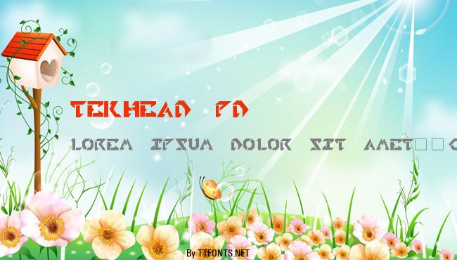 TekHead PD example