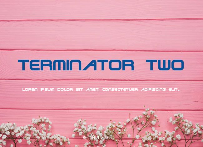 Terminator Two example