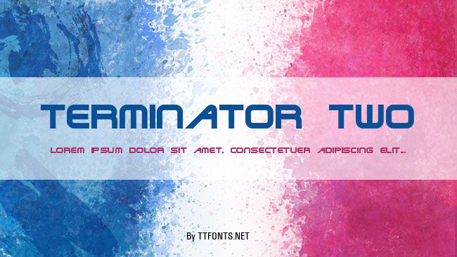 Terminator Two example