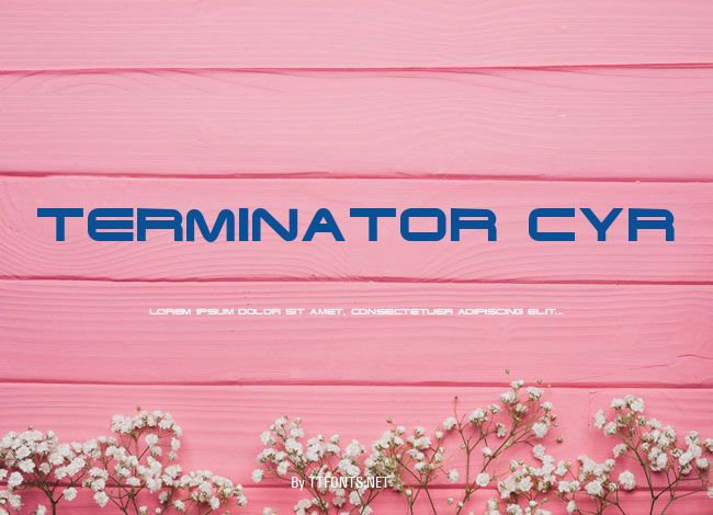 Terminator Cyr example