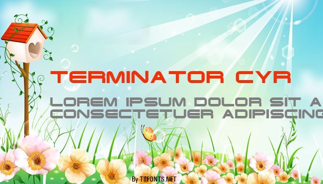 Terminator Cyr example