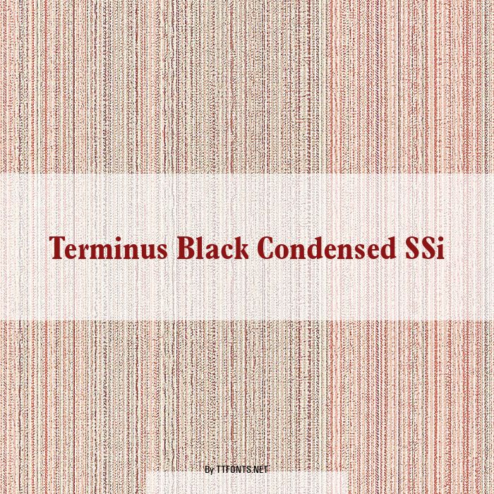 Terminus Black Condensed SSi example