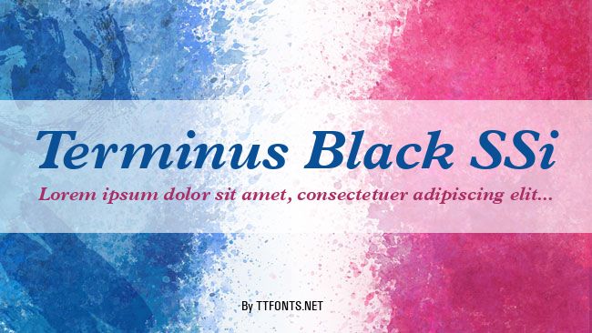 Terminus Black SSi example