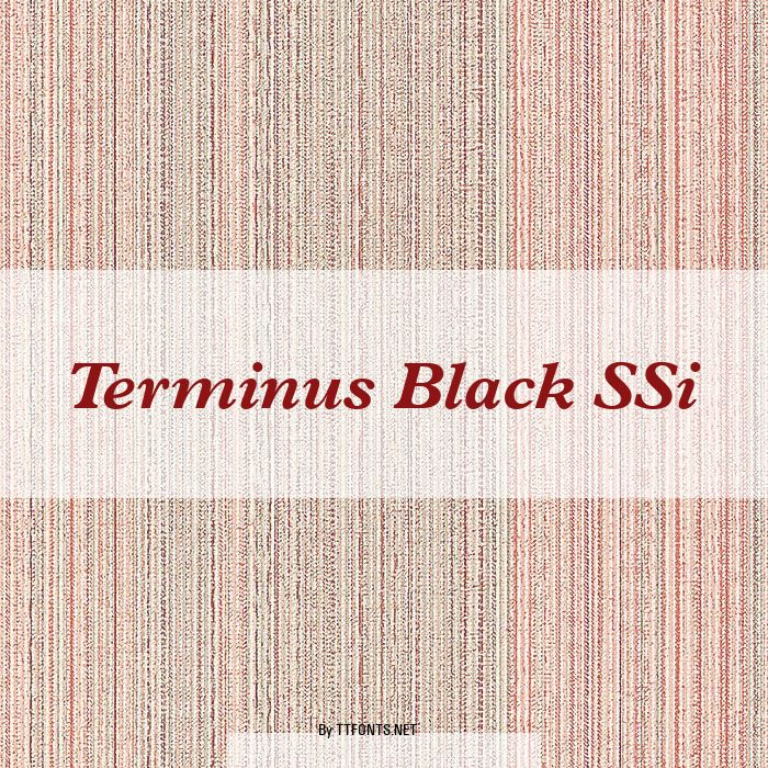 Terminus Black SSi example