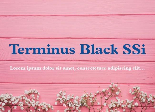 Terminus Black SSi example