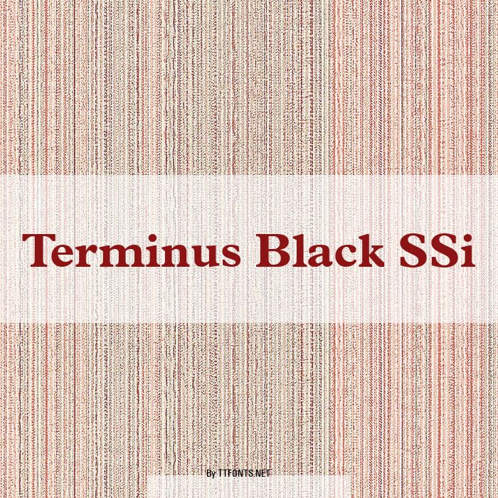 Terminus Black SSi example