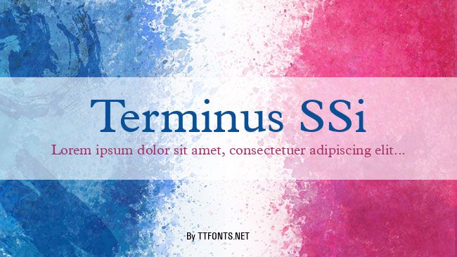 Terminus SSi example