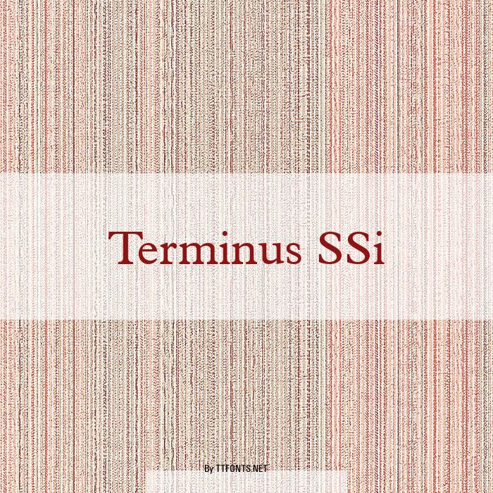 Terminus SSi example