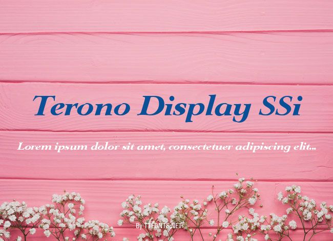Terono Display SSi example