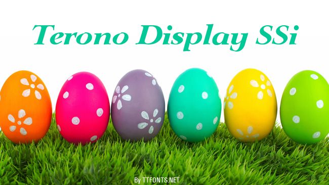 Terono Display SSi example