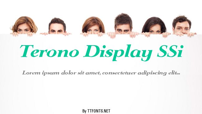 Terono Display SSi example