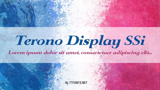Terono Display SSi example