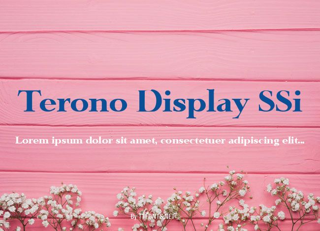 Terono Display SSi example