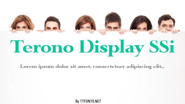 Terono Display SSi example