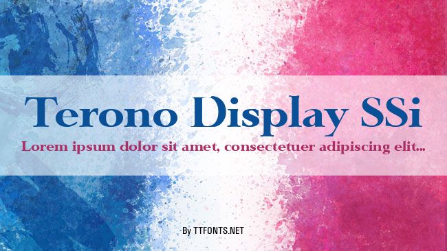 Terono Display SSi example