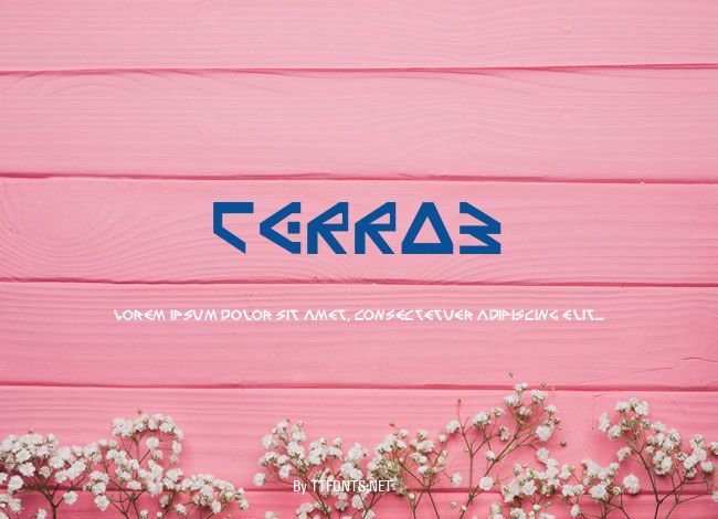 TERRA3 example