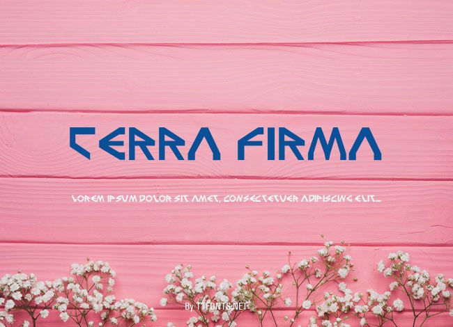 Terra Firma example