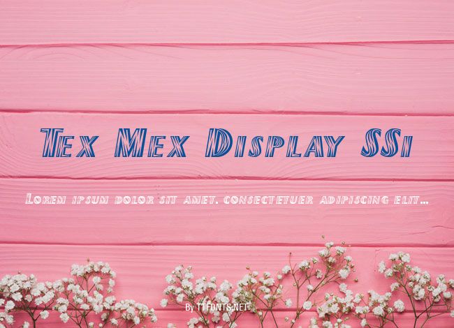 Tex Mex Display SSi example