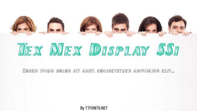 Tex Mex Display SSi example