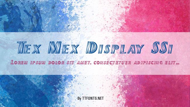 Tex Mex Display SSi example