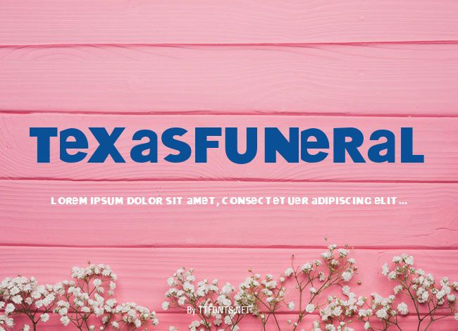 TexasFuneral example