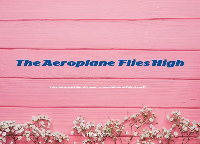 The Aeroplane Flies High example