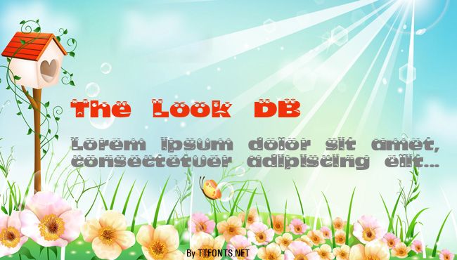 The Look DB example