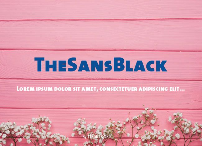 TheSansBlack example