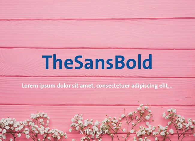 TheSansBold example