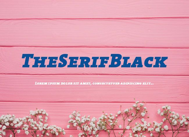 TheSerifBlack example