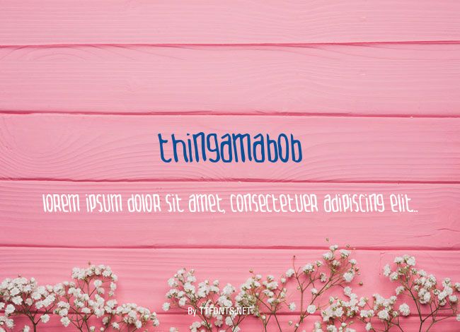 Thingamabob example