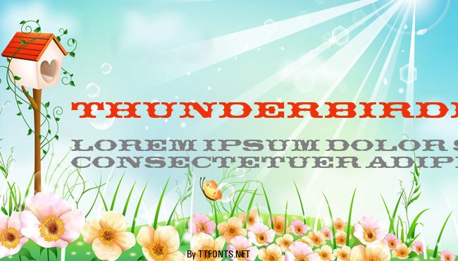 ThunderbirdDReg example