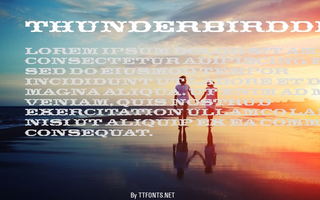 ThunderbirdDReg example