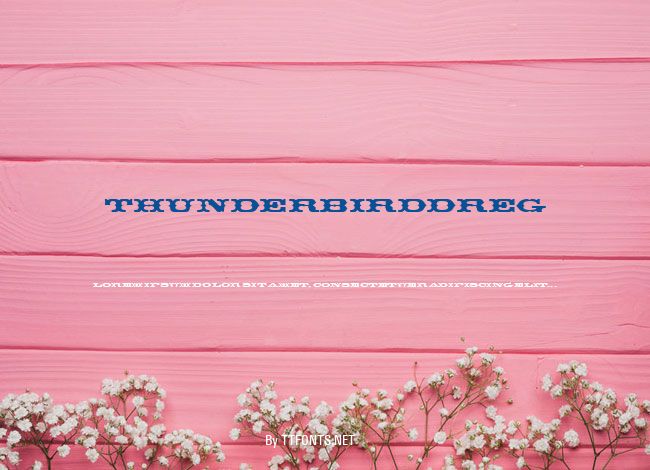 ThunderbirdDReg example