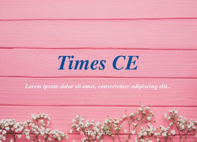 Times CE example
