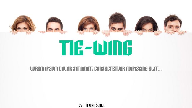 TIE-Wing example