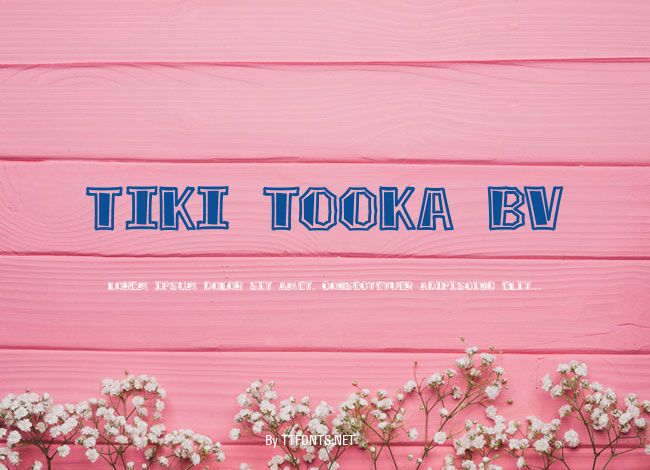 Tiki Tooka BV example