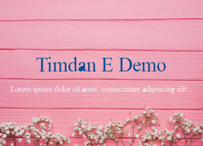 Timdan E Demo example