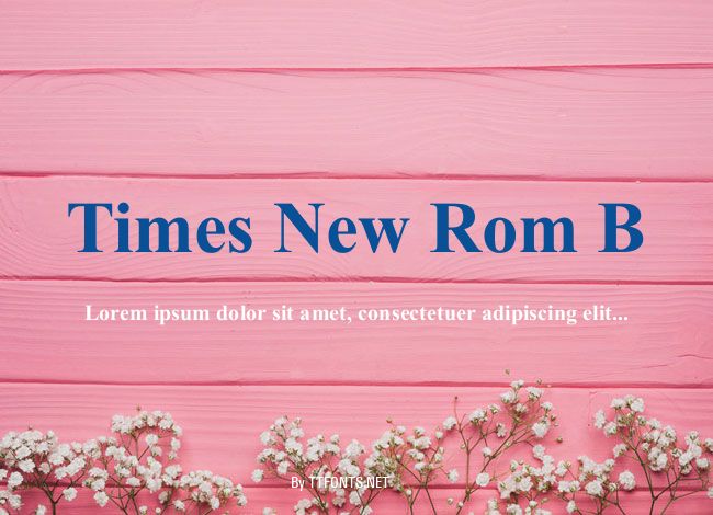 Times New Rom B example