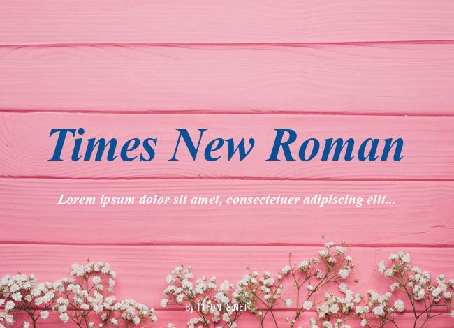 Times New Roman example