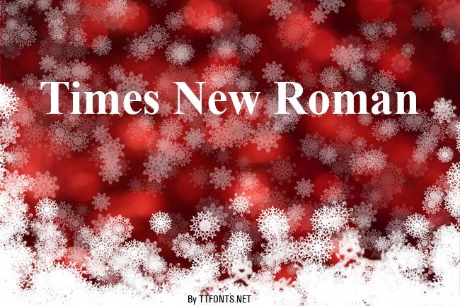 Times New Roman example
