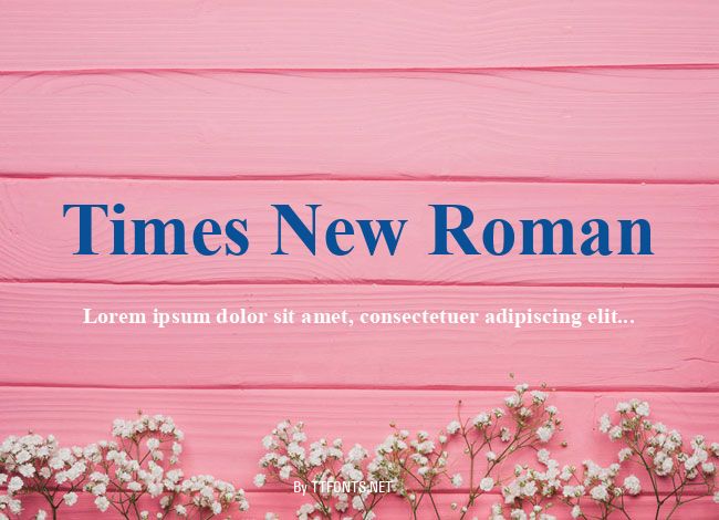 Times New Roman example