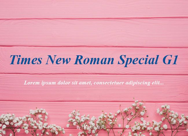 Times New Roman Special G1 example