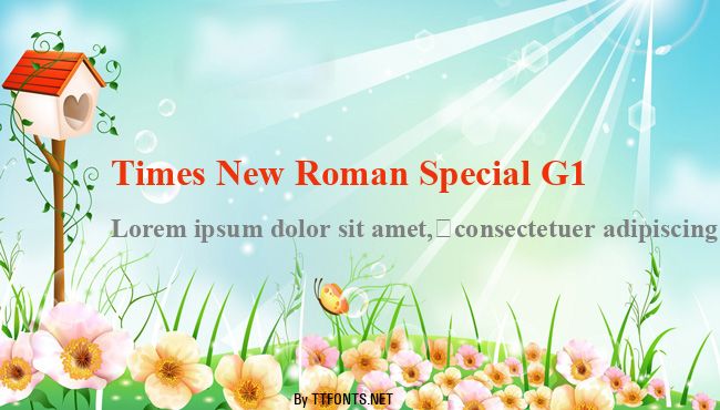 Times New Roman Special G1 example