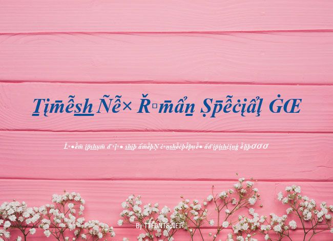 Times New Roman Special G2 example
