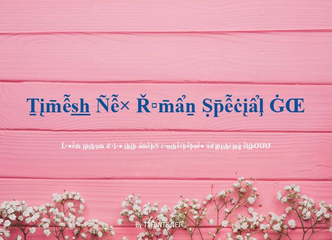 Times New Roman Special G2 example
