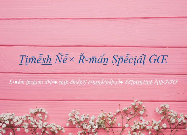 Times New Roman Special G2 example
