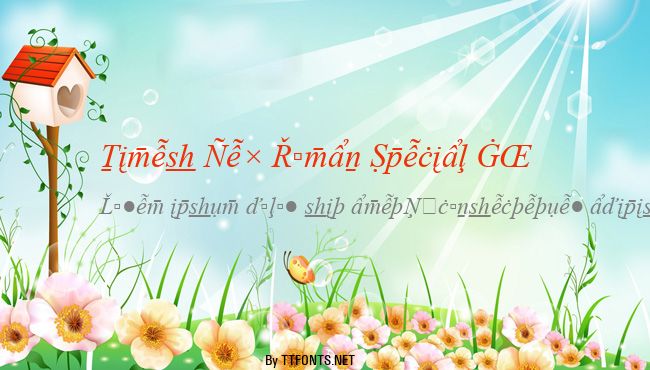 Times New Roman Special G2 example