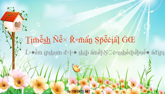 Times New Roman Special G2 example