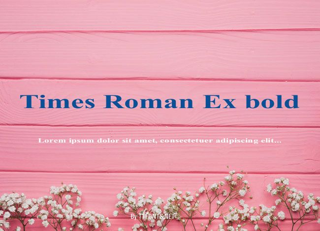 Times Roman Ex bold example